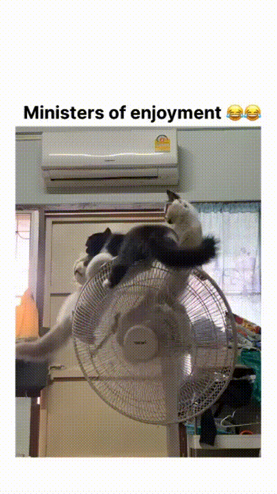 witzige animierte Bilder aus verschiedenen Blogs