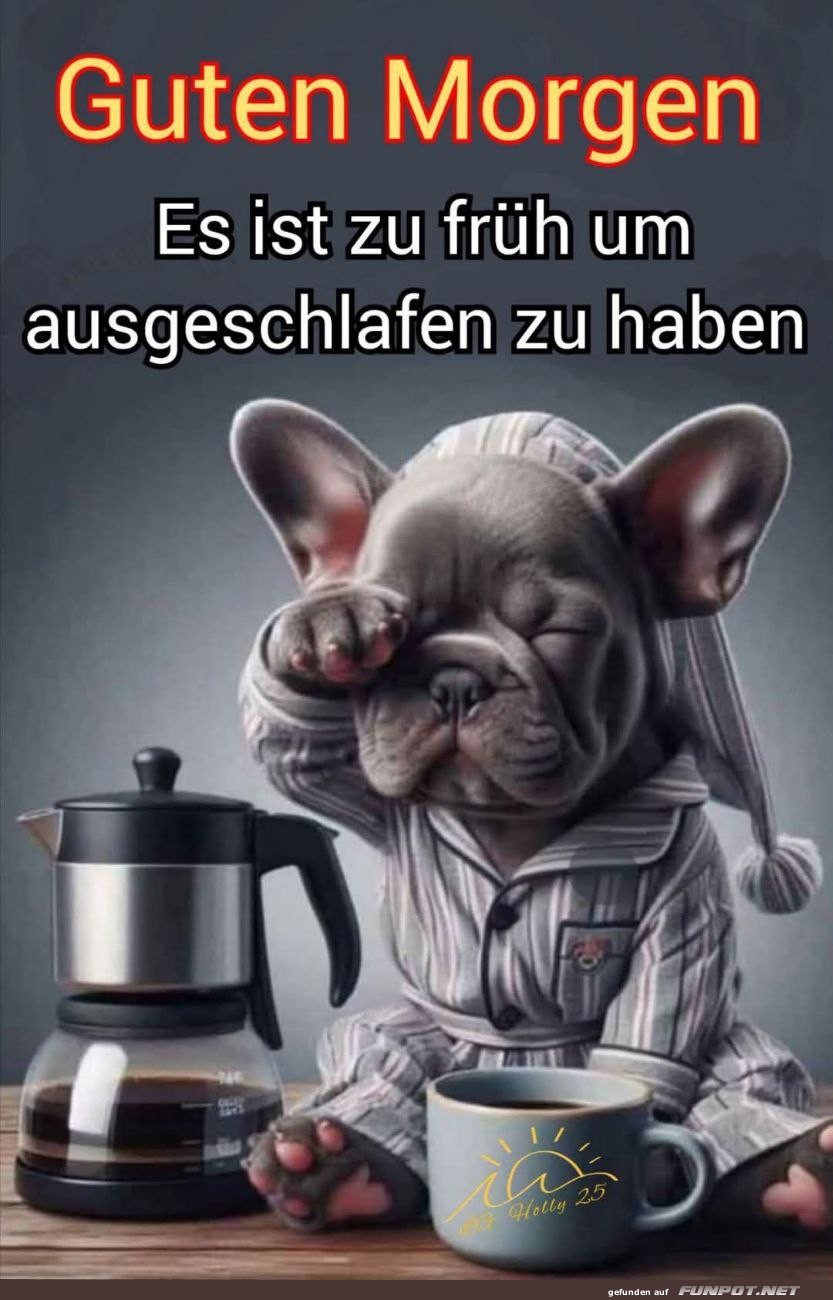 Mder Hund am Morgen mit Kaffee