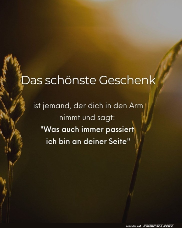 Wahre Unterstützung im Leben Wahre Unterstützung im Leben
