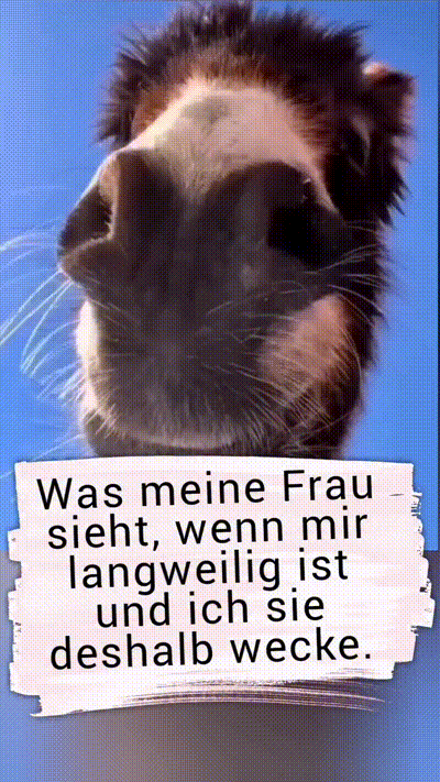 Was meine Frau sieht