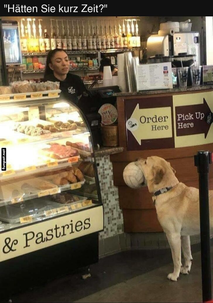 Hund mit Weidenkorb beim Bcker