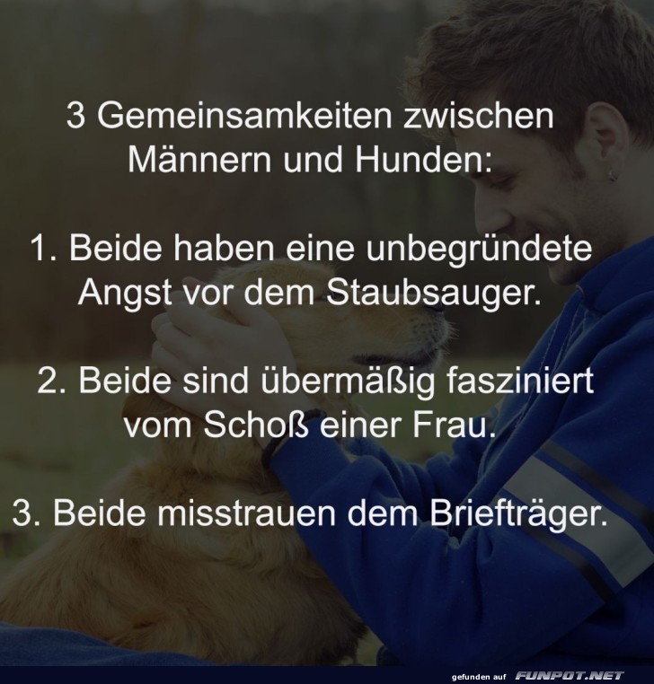 3 Gemeinsamkeiten zwischen Mnnern und Hunden