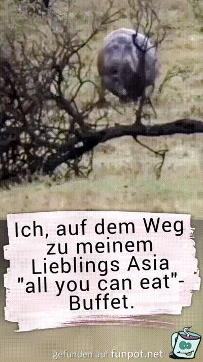 witzige animierte Bilder aus verschiedenen Blogs
