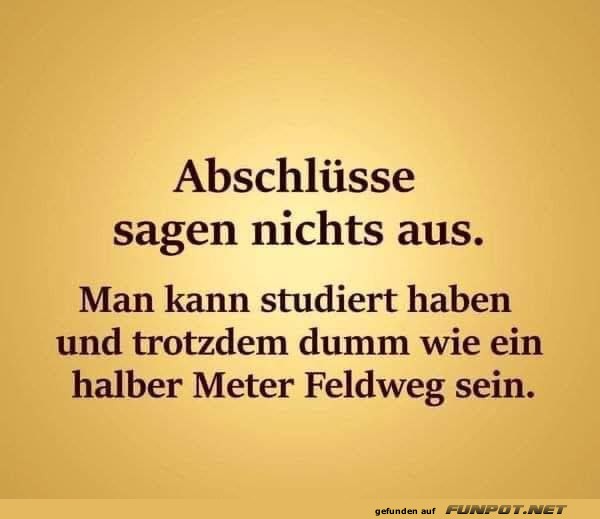 Abschlsse erzhlen nicht alles