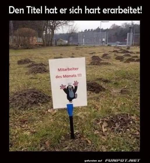 Mitarbeiter des Monats mit Auszeichnung