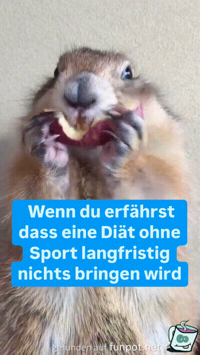 witzige animierte Bilder aus verschiedenen Blogs