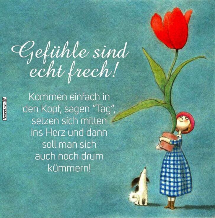 Gefhle sind echt frech