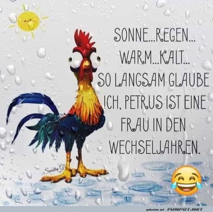 Wetterhumor mit einem lustigen Hahn