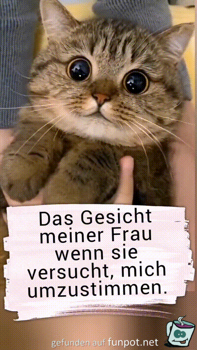 Dieser Blick Dieser Blick