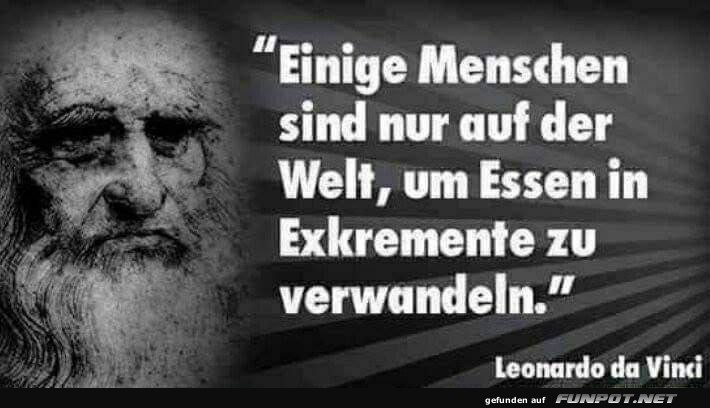 Zitat ber den Sinn des Lebens