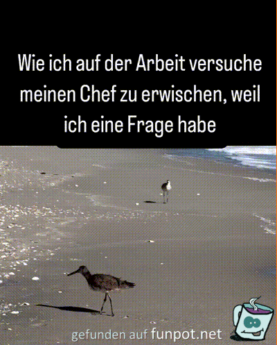 witzige animierte Bilder aus verschiedenen Blogs