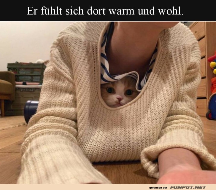 Kuschelige Momente im Pullover