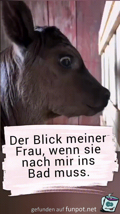 Der Blick meiner Frau Der Blick meiner Frau