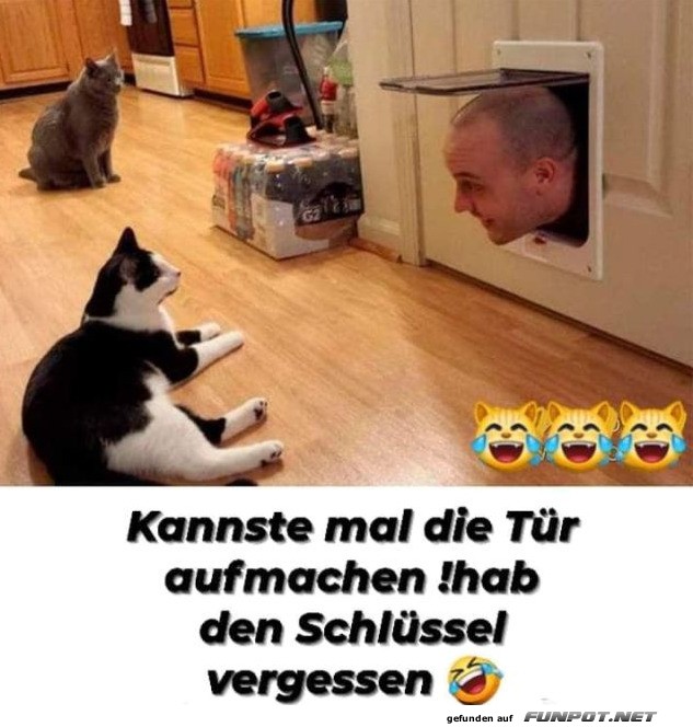 Mann bittet Katze um Türöffnung