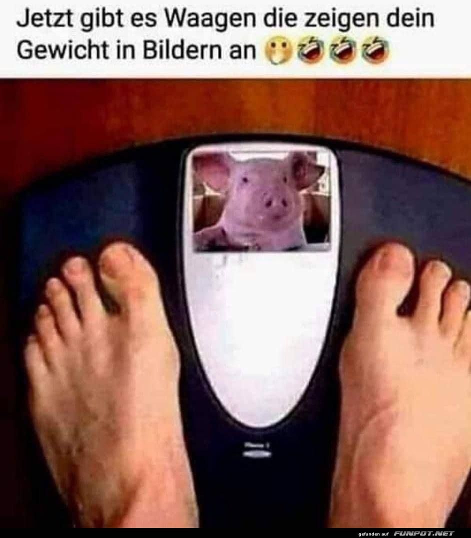Lustige Waagen zeigen dein Gewicht