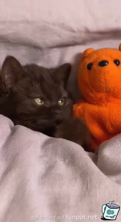 Ktzchen und ihr Teddy