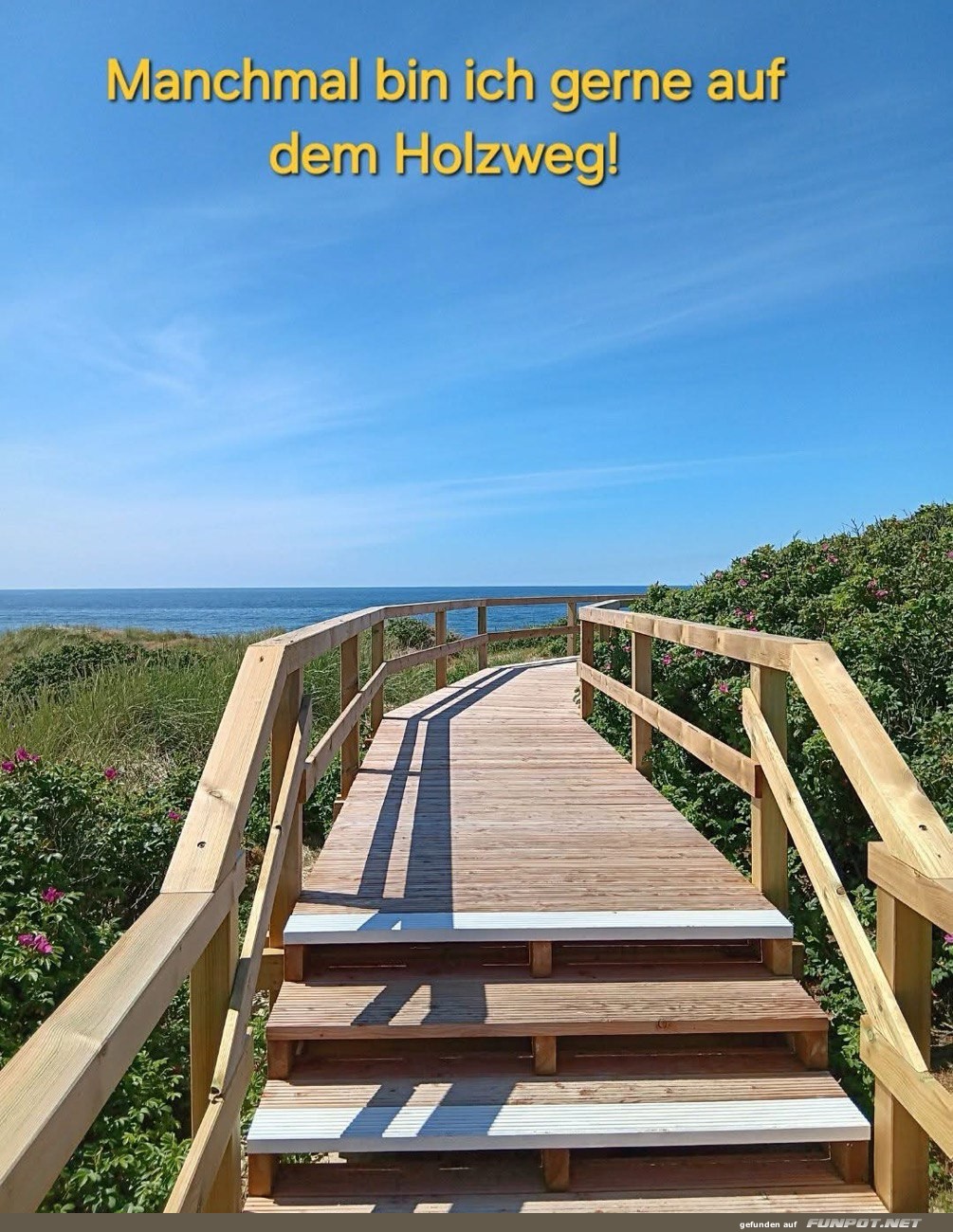 Bild eines Holzstegs am Strand