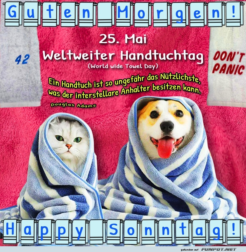 Sonntag / Weltweiter Handtuchtag Sonntag / Weltweiter Handtuchtag