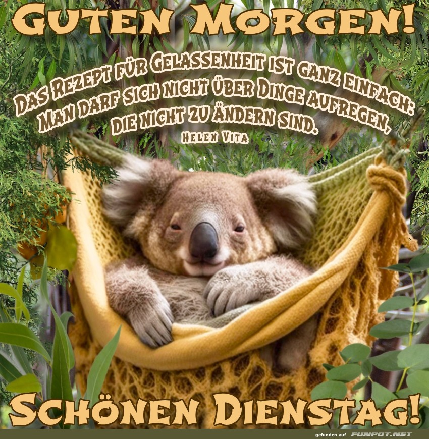 Entspannter Koala begru?t den Dienstagmorgen