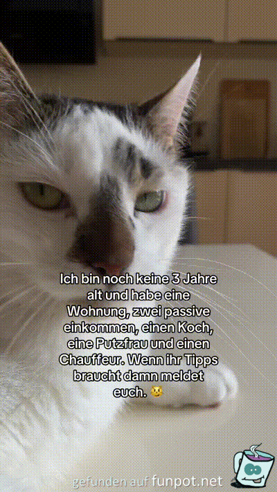 so lsst es sich leben