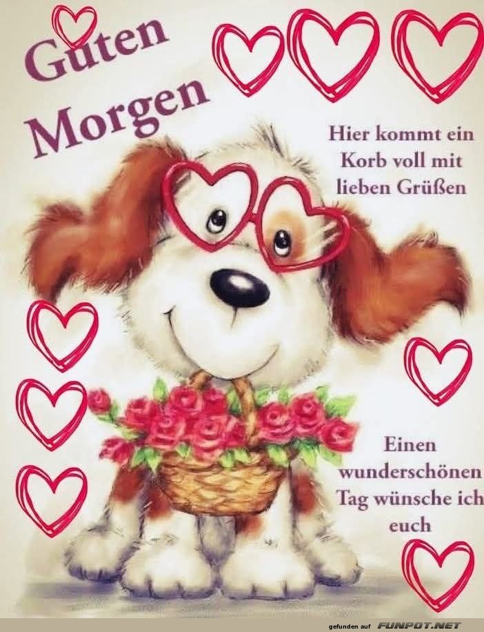 Ser Hund mit Morgengren