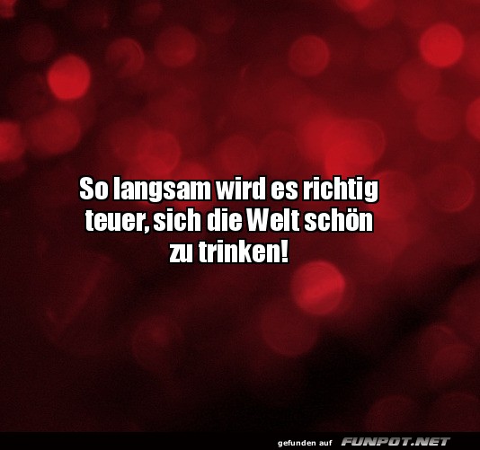 Es wird teuer, die Welt schn zu trinken