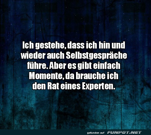 Selbstgesprche fr Expertenrat