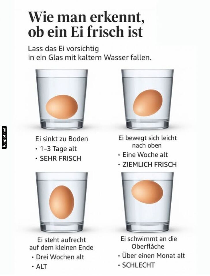Frischetest fr Eier: So erkennst du es einfach