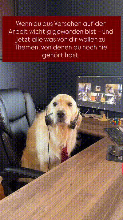 Keine Ahnung von nichts
