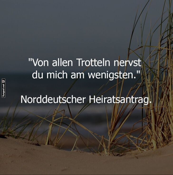 Humorvoller norddeutscher Heiratsantrag