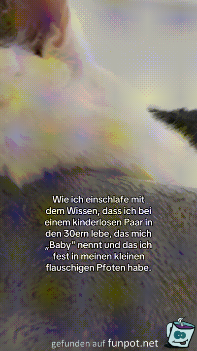 Da schlft es sich gut
