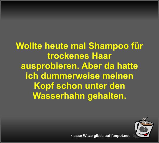 Wollte heute mal Shampoo fr trockenes Haar ausprobieren