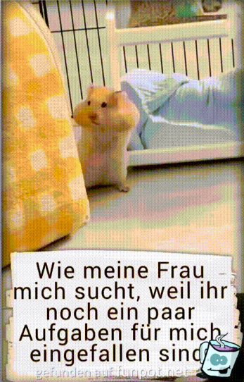 Meine Frau sucht mich