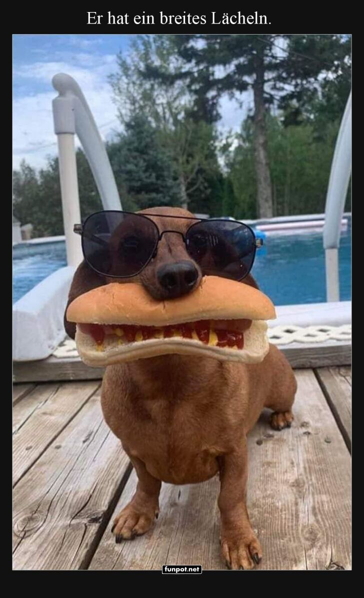 Hotdog oder Cooldog?