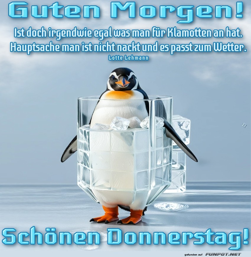 Pinguin-Modetrends: Eisiges Outfit! Pinguin-Modetrends: Eisiges Outfit!