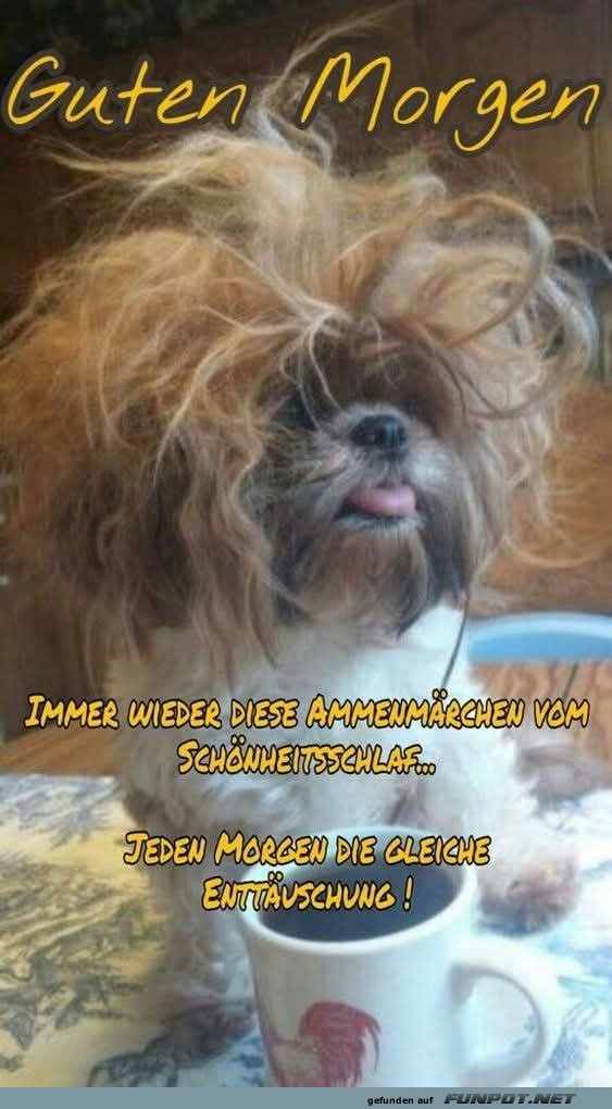 Guten Morgen Haar-Struwwel!