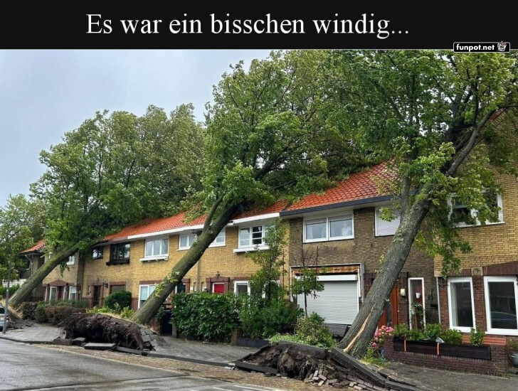 Wenn Bume sich in Huser verlieben!
