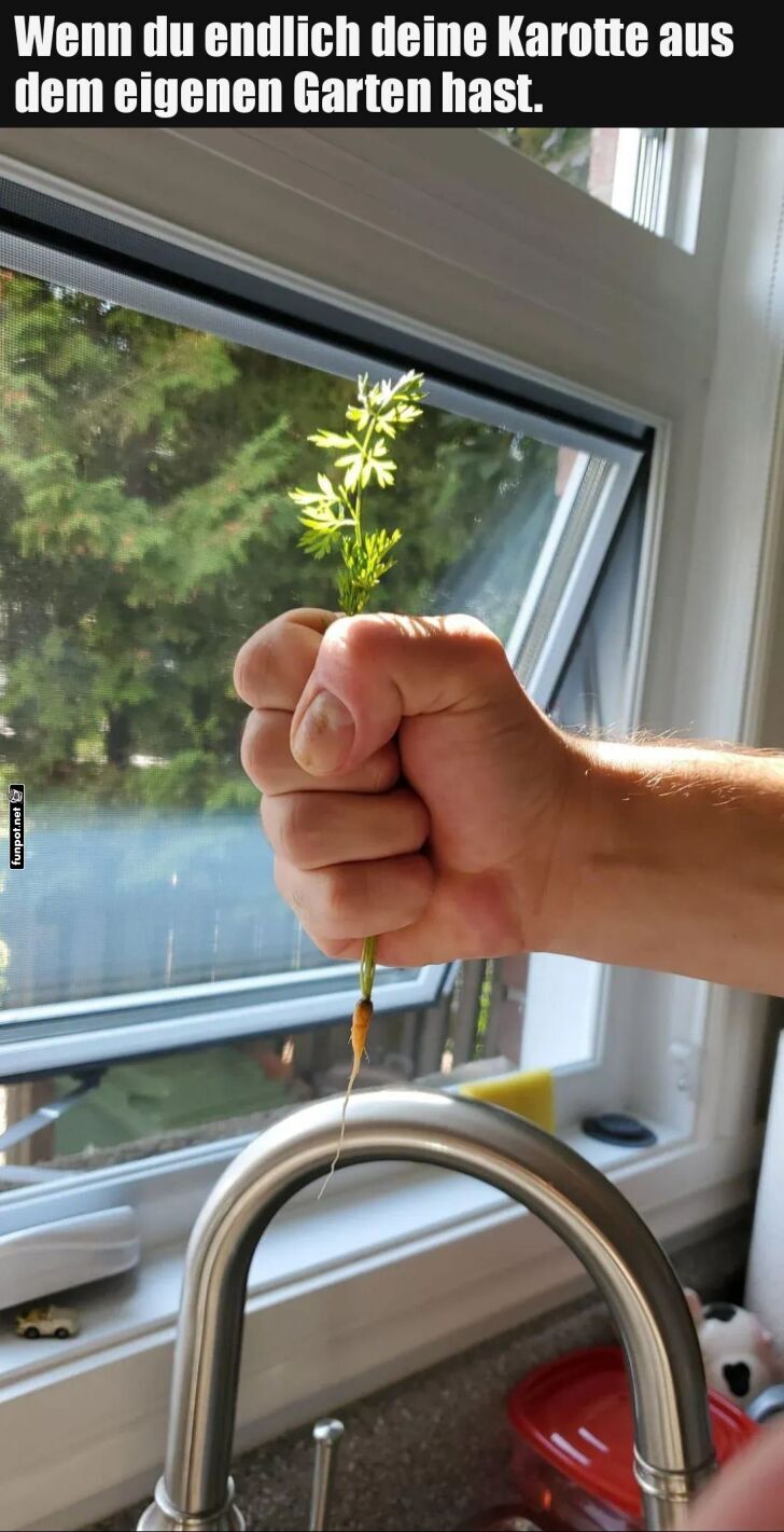 Klein, aber oho: Gartengemse stolz prsentiert