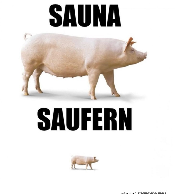 Schweine-Sauna berraschung