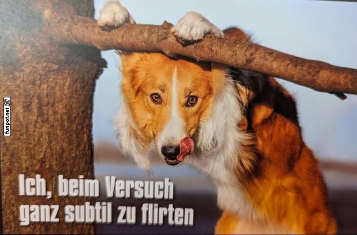 Flirten auf tierische Art!