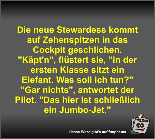 Die neue Stewardess kommt auf Zehenspitzen in das Cockpit...