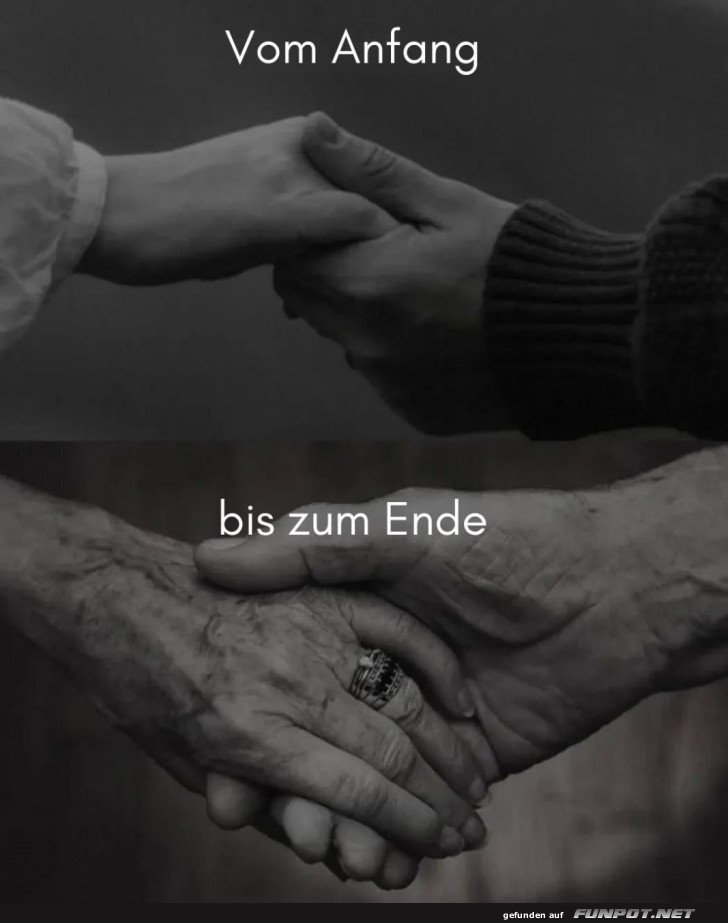 Hand in Hand: Ein Lebenslauf