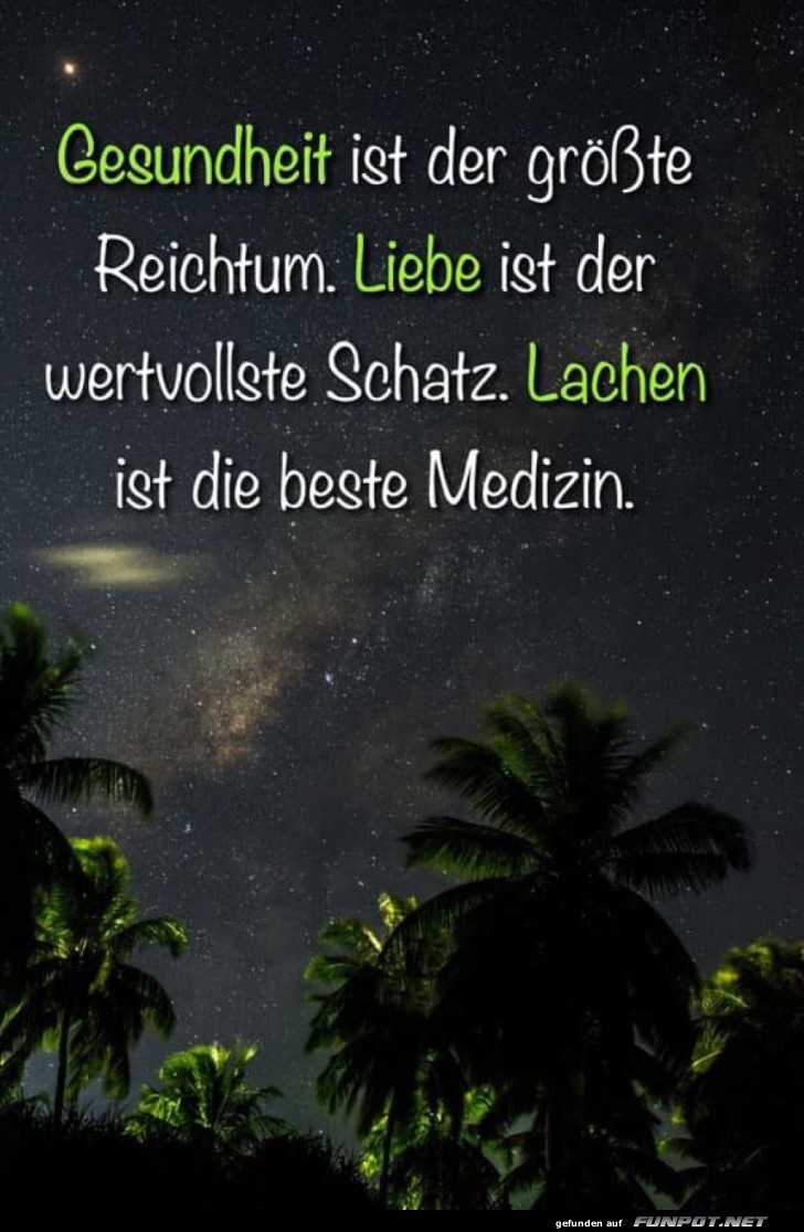 Lachen unter Palmen: Eine himmlische Kombination Lachen unter Palmen: Eine himmlische Kombination