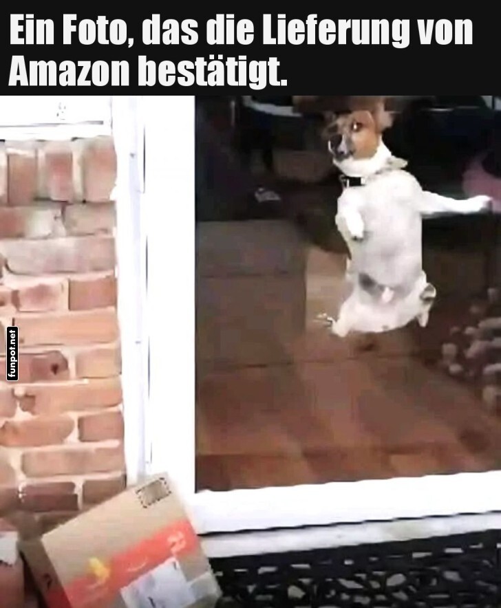 Die Lieferung ist gelandet!