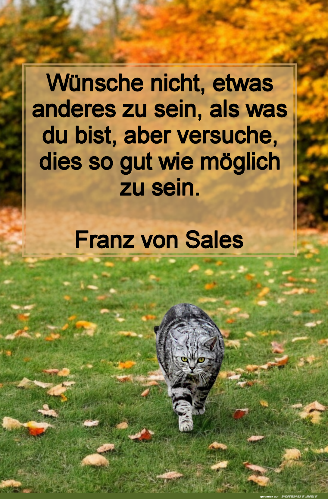 wünsche nicht, etwas anderes wünsche nicht, etwas anderes