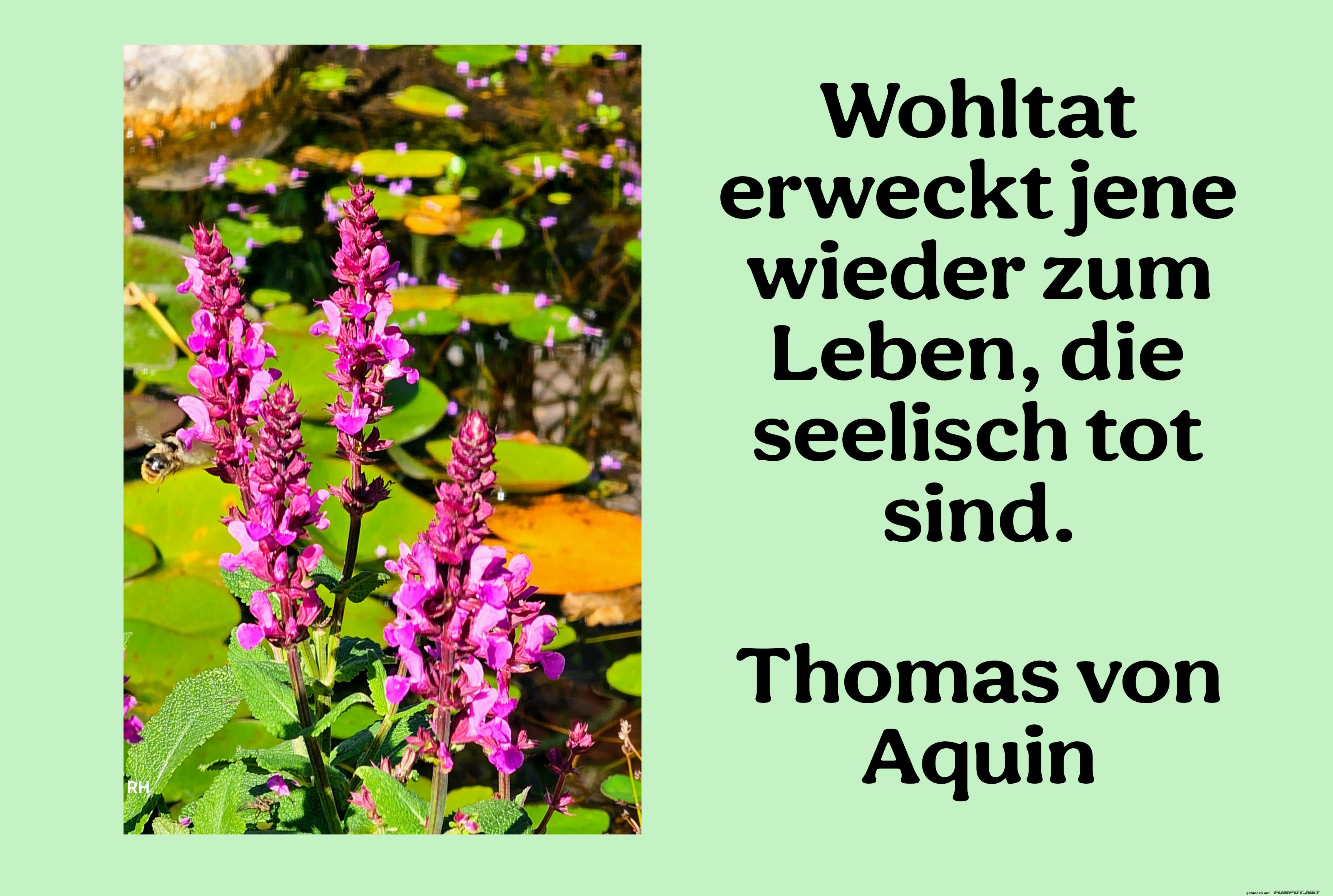 wohltat erweckt jene wieder