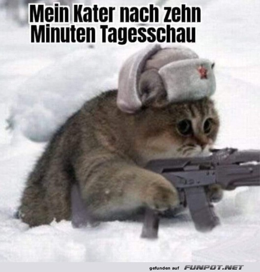 Das kann man verstehen