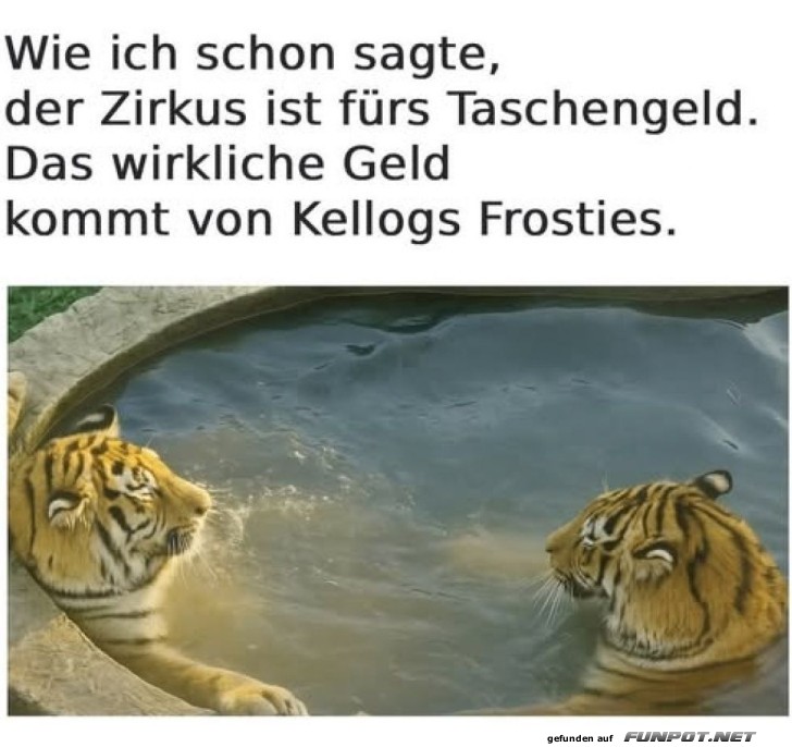 Das wirklich Geld kommt von den Frosties