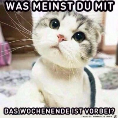 Was-meinst-du.png von Ben