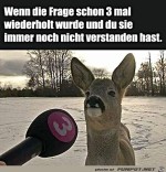 Ich-hab-das-immer-noch-nicht-kapiert.jpg auf www.funpot.net